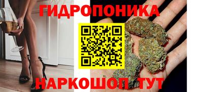 стафф Донецк