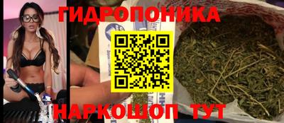 стафф Донецк