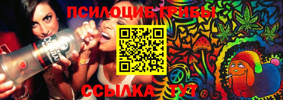 Псилоцибиновые грибы GOLDEN TEACHER  Вход с VPN  Кыштым 