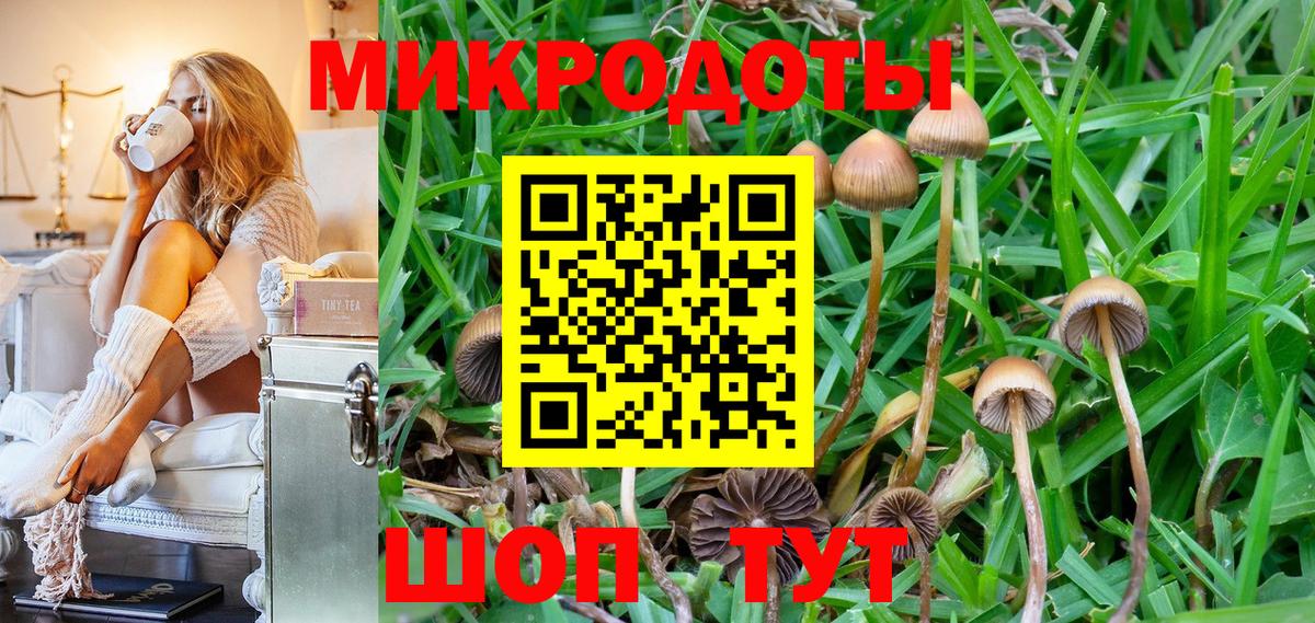Псилоцибиновые грибы Cubensis Кыштым